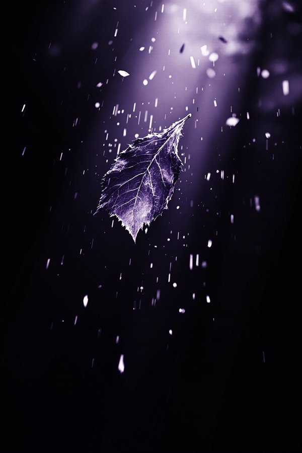 一秒钟的永恒 - 影像短片高清海报